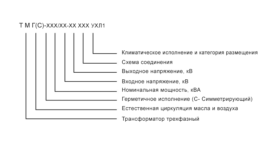 тмгс тмгс